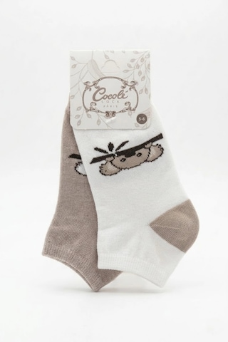 Cocole Socks Erkek Çocuk Patik Çorabı 2 Li Set Krem & Bej Koala Desenli Çok Renkli