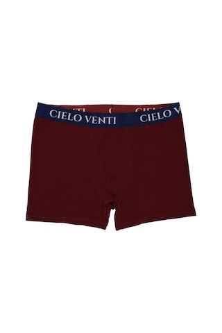 Cielo Venti Night Collection 2'li Organik Pamuk Erkek Boxer Bordo - Mavi