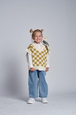 Erkek Süveterli Üçlü Takım Fıstık Yeşili