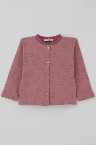 Breeze Kız Bebek Pijama Takımı Önden Düğmeli Elma Desenli 4 Ay-1 Yaş, Gülkurusu Gülkurusu