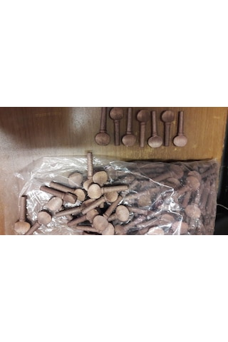 Gül Ağacı Görünümlü Akgürgen Saz Kulağı Burgu Seti-7 Adet Set