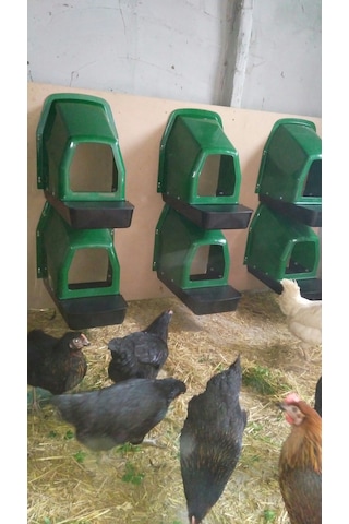 Plastik Otomatik Tavuk Folluk Yeşil