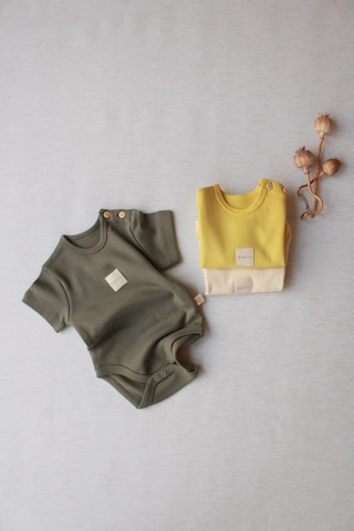Oh La La Koala 3lü Basic Kısa Kollu Çıt Çıtlı Body Zıbın Model 8 Çok Renkli