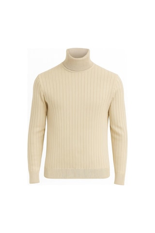 Fabio Cassani Huffa Desenli Erkek Slim Fit Boğazlı Erkek Triko-7431 Bej