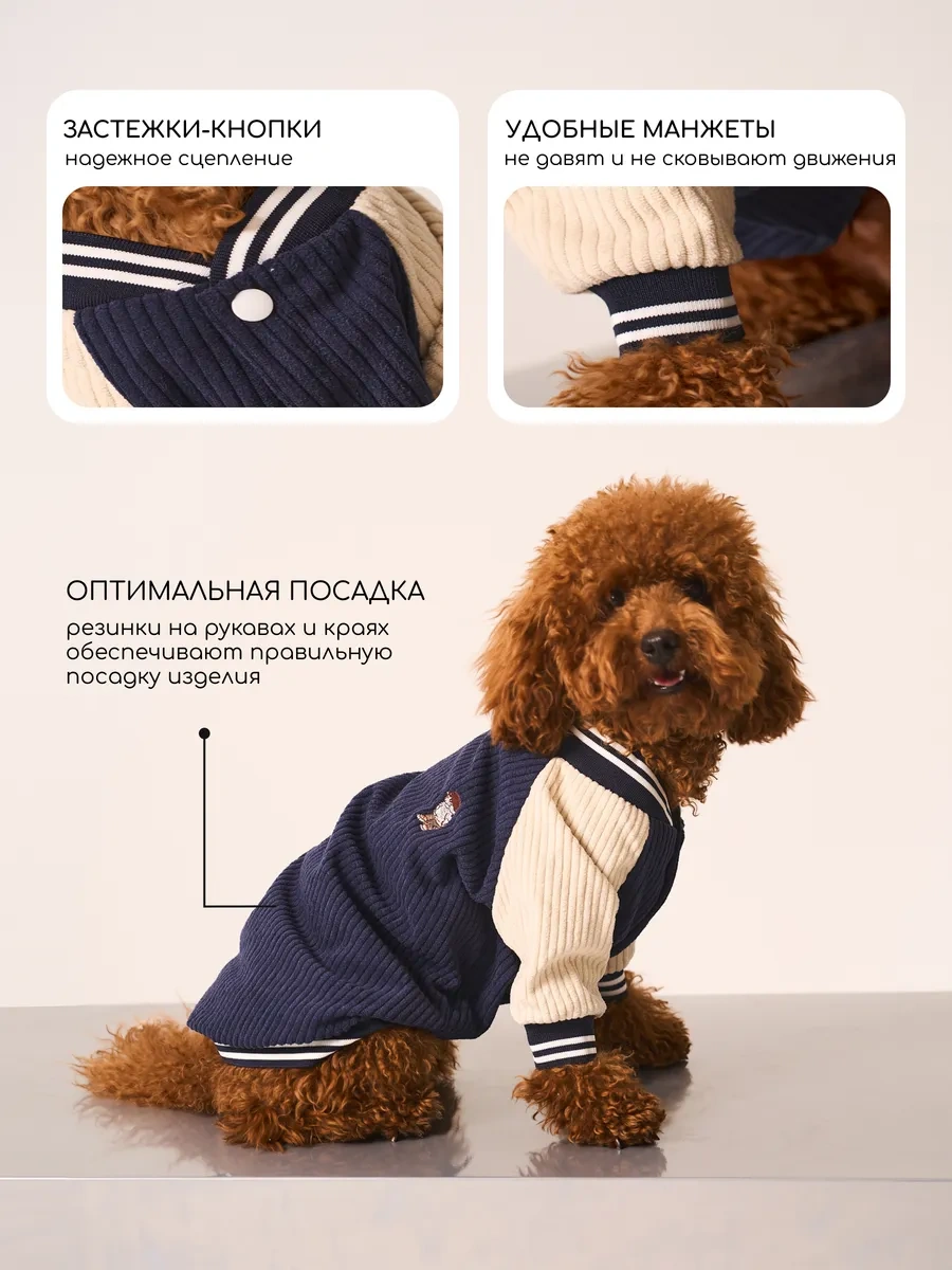 Petite Pets Küçük Irklar İçin Köpek Bombardıresi 338568297