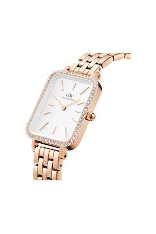 Daniel Wellington Dw00600672 Kadın Kol Saati Diğer