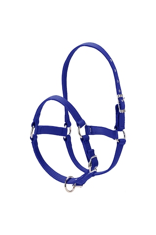 Ximistore9 Dayanıklı 6mm Kalın At Başlığı - Ayarlanabilir L Boy Mavi