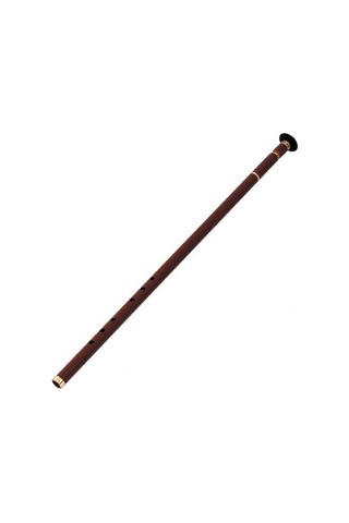 Ney Öğrenci Kız / Si Dnzcev Donizetti Kılıf