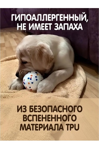 Pozitiffcik Büyük Ve Orta Boy Köpekler İçin Oyuncaklar, Yavru Köpekler İçin Toplar 151330020