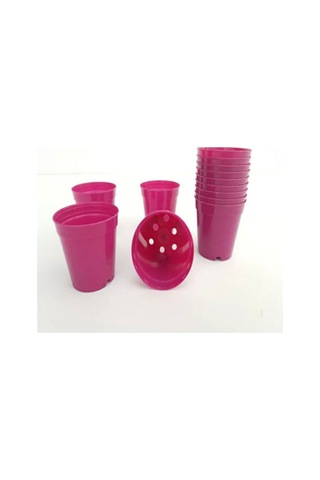 Katı Plastik Sukulent Saksısı 5 Adet Pembe 5.5 Cm