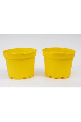 Sarı Limon Saksısı 10 Adet ( 1.5 Litre )
