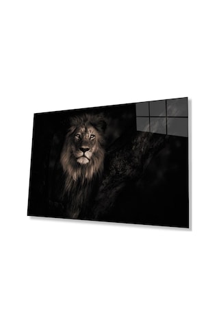 Aslan Cam Tablo 4mm Dayanıklı Temperli Cam45