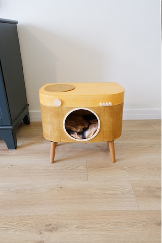 Huncar Kedi Evi Dekoratif Fotoğraf Makinesi Kedi Evi