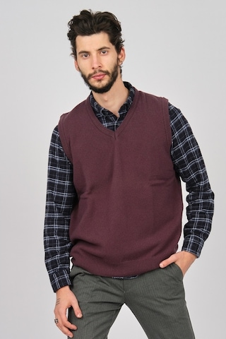 Arslanlı Erkek Lambswool V Yaka Süveter 0767991 Mürdüm-Mürdüm