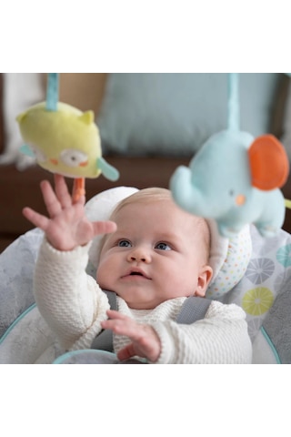 Ingenuity Swing & Go Taşınabilir Salıncak