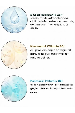 Cream Co. Moisture Bomb Moisturizer 50 ML
