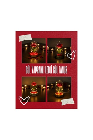 Gül Yapraklı Ledli Gül Fanus Çok Renkli