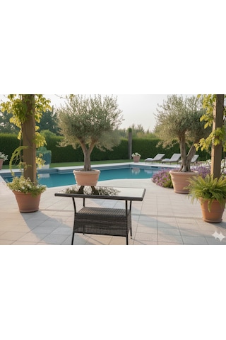 Garden Rattan Antrasit Cam Tablalı Bahçe Ve Balkon Sehpası / Masası
