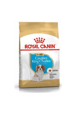 Royal Canin Cavalier King Charles Junior Yavru Köpek Maması 1.5 KG