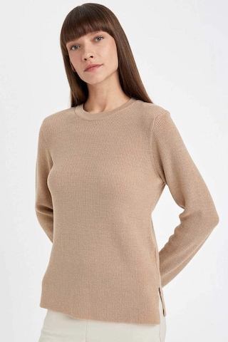 DeFacto Regular Fit Bisiklet Yaka Simli Kumaş Triko Kazak D0405AX24WNBG647 Bej