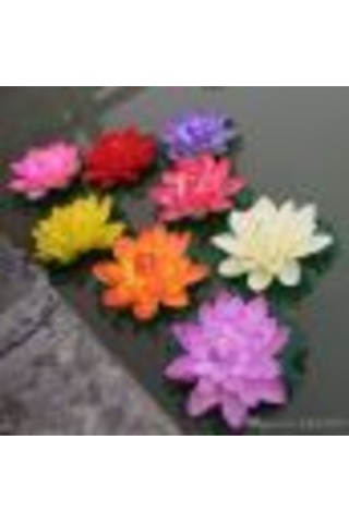Nadir Ithal Lotus Tohumu 15 Tohum Lotus Çiçeği Tohumu Nilüfer Tohumu Su Zambağı Tohumu Zambak Tohumu