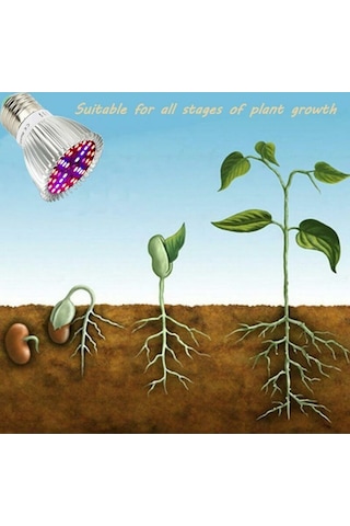 İç Mekan Bitkileri, Organik Hidroponik Ve Sera A+ İçin Tam Spektrumlu, Yetiştirme Işığına Sahip 4'lü E27 10w Led Ampul