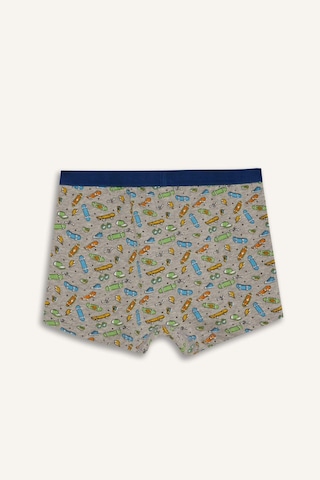 Defacto Kaykay Baskılı Penye 3lü Boxer Erkek Çocuk H1636a826smın176 İndigo-ın176