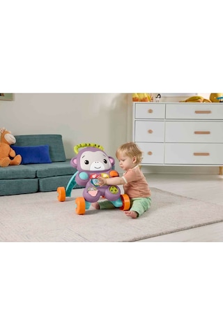 Fisher-price Benimle Öğren Mor Maymun Yürüteç Jgw94