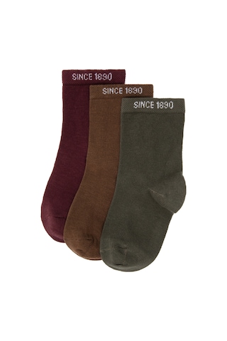 U.s. Polo Assn. Erkek Çocuk Plum Çorap Soket 50318041-vr177 New Plum