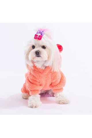 Pawstar Somon Koala Küçük Irk Peluş Köpek Tulumu