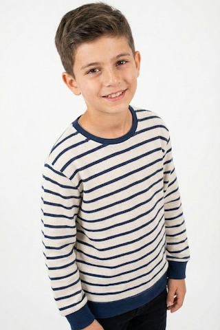 Breeze Erkek Çocuk Sweatshirt Arma Detaylı 4-10 Yaş, Beyaz