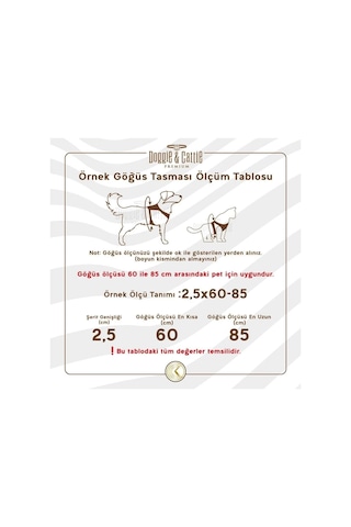 Cattie Kedi Göğüs & Gezdirme Takımı Turuncu 1x25-40cm
