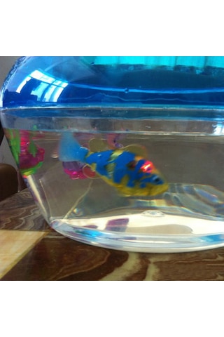 Youmex Yüzebilen Işıklı Elektrikli Akvaryum Balığı - Ev Kullanıma Uygun, Kolay Kullanımlı, Dayanıklı Materyalden Yapılmış Oyuncağı