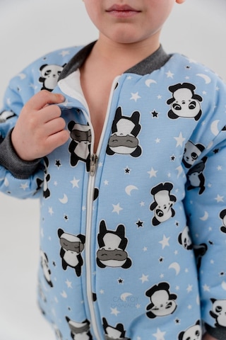 Erkek Bebek 2.5 Tog Desenli Uyku Tulumu 2 Yaş Mavi