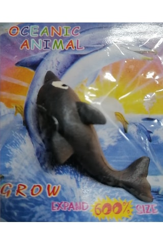 Suda Büyüyen Deniz Canlısı Minicik Yunus Balığı