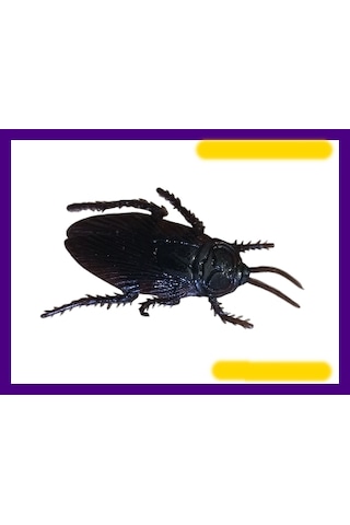 Şakacı Şaka Oyncak Silikon Hamam Böceği Parti Eğlence