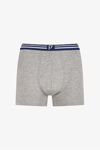 Penti Erkek Renkli Chill Grid Çoklu Boxer