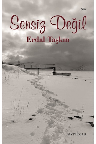 Sensiz Değil - Erdal Taşkın Sensiz Değil - Erdal Taşkın