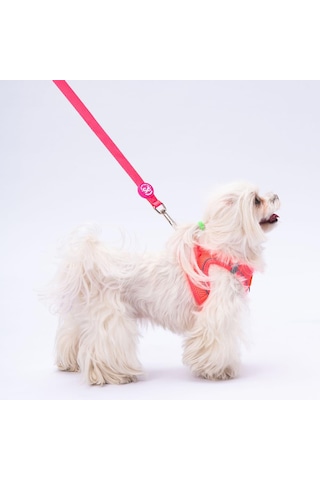 Pawstar Neon Pembe Leash Kedi Köpek Sevk & Gezdirme Kayışı Köpek Uzatma Tasması Pembe