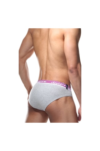 Darkzone Erkek Slip - Dzn6328 Gri