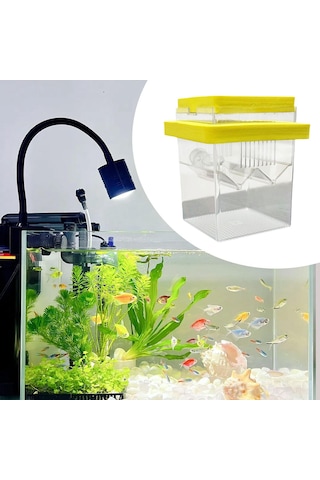 Suntek Yüzen Balık Yetiştirme İzolasyon Kutusu Karides Sarı