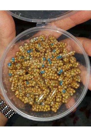 Bitkili Akvaryum Taban Malzeme Seti 50 Lt Akvaryumlara Uygun