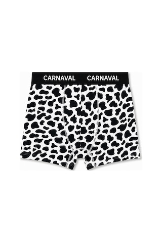 Carnaval Socks Carnaval Lazy Friends Erkek Boxer 3 Lü Set Çoklu