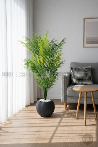 Biçiçek Areka Ağaci 24 Yapraklı 130 Cm Antresi̇t Küre Saksıda