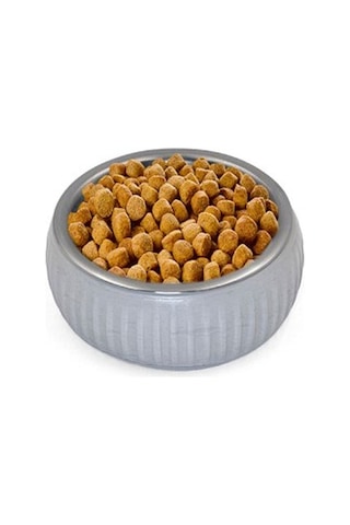 Mikopet Organik Seramik Mama Kabı Gri