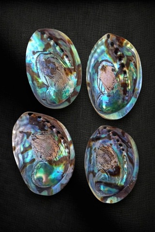 Abalone Shell Süper Renkli Istiridye Kabuğu