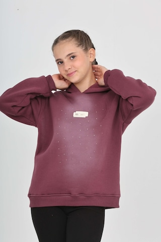 Toontoy Kız Çocuk Taş Dizaynlı Sweatshırt Mor
