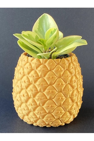 Storeşahin 3d Baskı Ananas Formlu Saksı Ve Kalemlik Kabartma Dokulu Sukulent Saksısı Masaüstü Bitki Ve Kalem Tutucu Shn0720