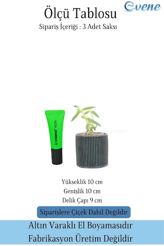 Mini Çiçek Saksı Küçük Sukulent Siyah Kaktüs Saksısı 3'lü Set Düz İnce Çizgili Model