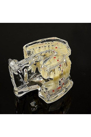 Skycity Diş Hekimi Ve Öğrencilere Özel Reçine Diş Patoloji Gösterim Modeli 1 Adet